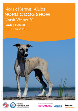Katalog NKK Lillehammer, Lørdag (PDF, 9MB)