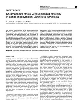 Chromosomal Stasis Versus Plasmid Plasticity in Aphid Endosymbiont Buchnera Aphidicola