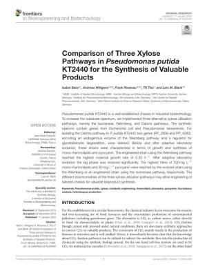 Comparison of Three Xylose Pathways in Pseudomonas Putida KT2440 for the Synthesis of Valuable Products