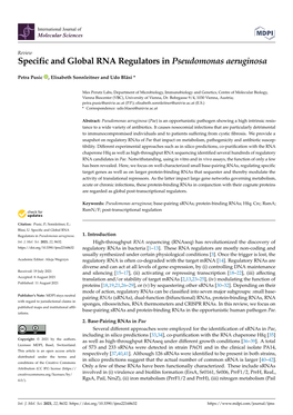 Specific and Global RNA Regulators in Pseudomonas Aeruginosa