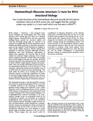 Hammerhead Ribozyme Structure: U-Turn for RNA Structural Biology