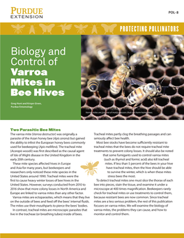 Biology and Control of Varroa Mites in Bee Hives