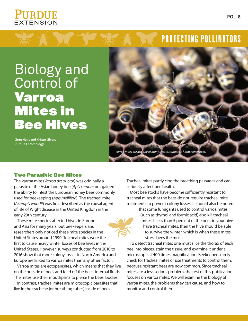 Biology And Control Of Varroa Mites In Bee Hives Docslib 0022