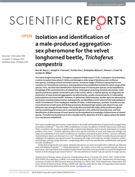 Isolation and Identification of a Male-Produced Aggregation-Sex