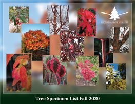 Trees Specimen List Fall 2020.Pdf