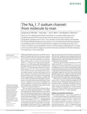 The Nav1.7 Sodium Channel: from Molecule to Man