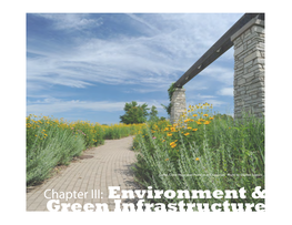 Environment & Green Infrastructure