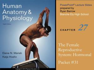 The Female Reproductive System: Hormonal Packet #31
