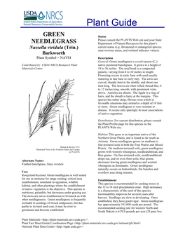 Green Needlegrass Is a Cool-Season (C3) Contributed By: USDA NRCS Bismarck Plant Native Perennial Bunchgrass