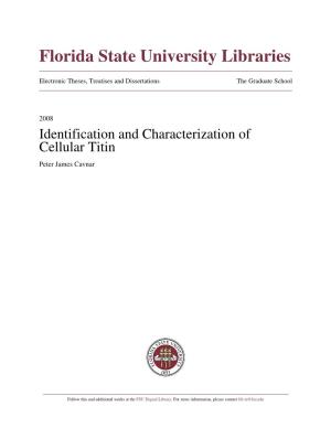 Identification and Characterization of Cellular Titin Peter James Cavnar