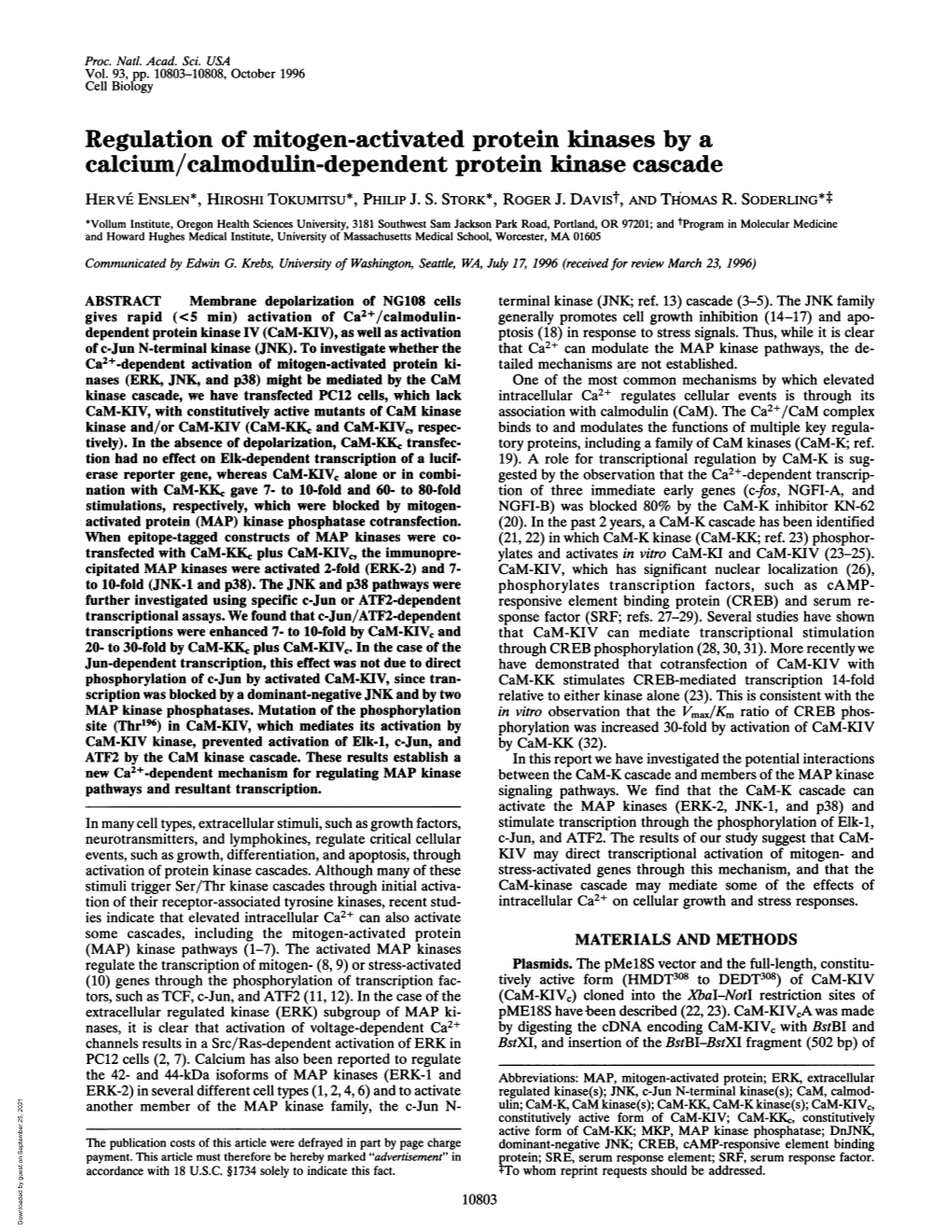 Regulation of Mitogen-Activated Protein Kinases by a Calcium/Calmodulin-Dependent Protein Kinase Cascade HERVEI ENSLEN*, HIROSHI TOKUMITSU*, PHILIP J