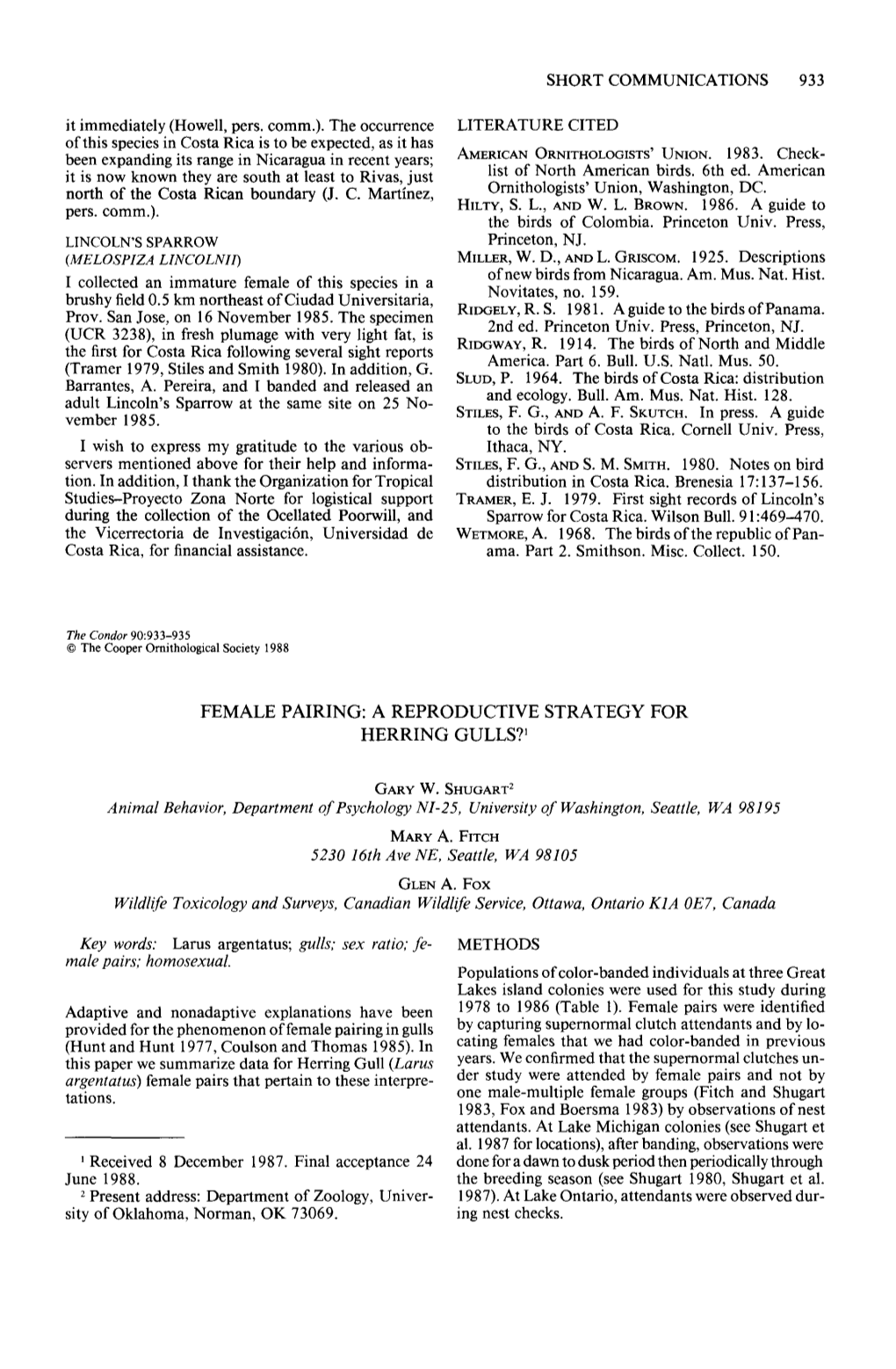 Female Pairing: a Reproductive Strategy for Herring Gulls? ’