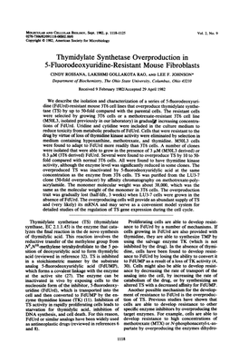 Thymidylate Synthetase Overproduction in 5-Fluorodeoxyuridine-Resistant Mouse Fibroblasts CINDY ROSSANA, LAKSHMI GOLLAKOTA RAO, and LEE F