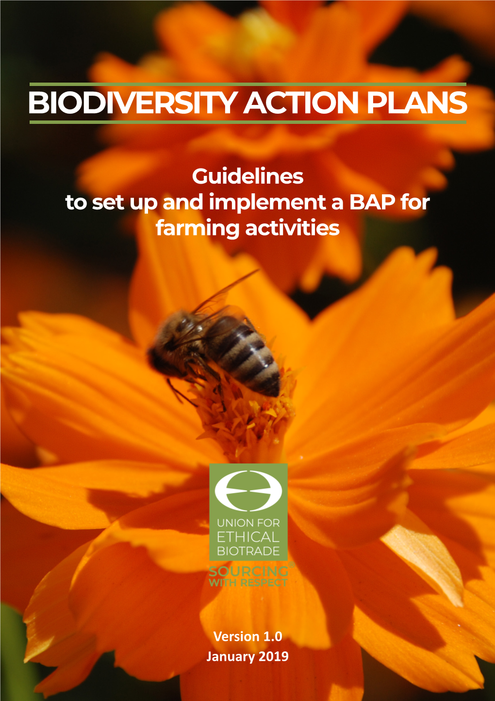 Biodiversity Action Plans