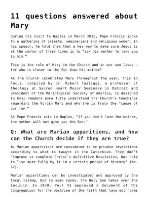 11 Questions Answered About Mary