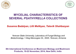 Mycelial Characteristics of Several Psathyrella Collections