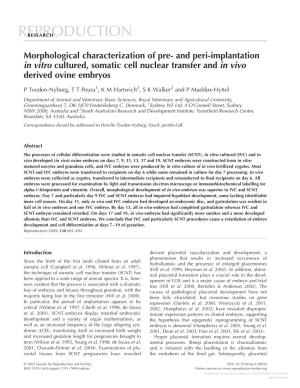 Morphological Characterization of Pre-And Peri-Implantation in Vitro