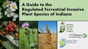 A Guide to the Regulated Terrestrial Invasive Plant Species of Indiana