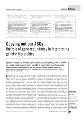 Copying out Our Abcs the Role of Gene Redundancy in Interpreting Genetic Hierarchies