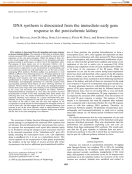 DNA Synthesis Is Dissociated from the Immediate-Early Gene Response in the Post-Ischemic Kidney