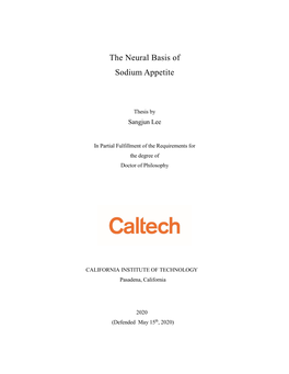 The Neural Basis of Sodium Appetite