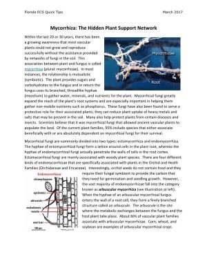 Mycorrhiza: the Hidden Plant Support Network