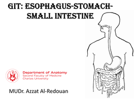 GIT: Esophagus-Stomach- Small Intestine