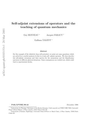 Self-Adjoint Extensions of Operators and the Teaching of Quantum