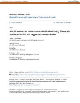 A Biofilm Enhanced Miniature Microbial Fuel Cell Using Shewanella Oneidensis DSP10 and Oxygen Reduction Cathodes