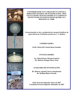 Caracterización in Vitro Y Producción De Cuerpos Fructíferos De Cepas Nativas De Neolentinus Ponderosus Y N
