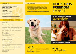 Dogs Trust Freedom Project Accessing the Service - What Happens Next