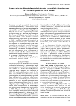 Prospects for the Biological Control of Jatropha Gossypiifolia: Stomphastis Sp
