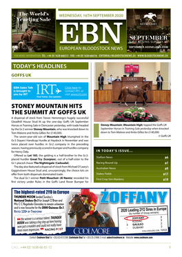 September Stoney Mountain Hits the Summit at Goffs Uk