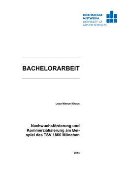 Nachwuchsförderung Und Kommerzialisierung Am Bei- Spiel Des TSV 1860 München