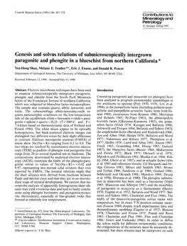 Genesis and Solvus Relations of Submicroscopically Intergrown