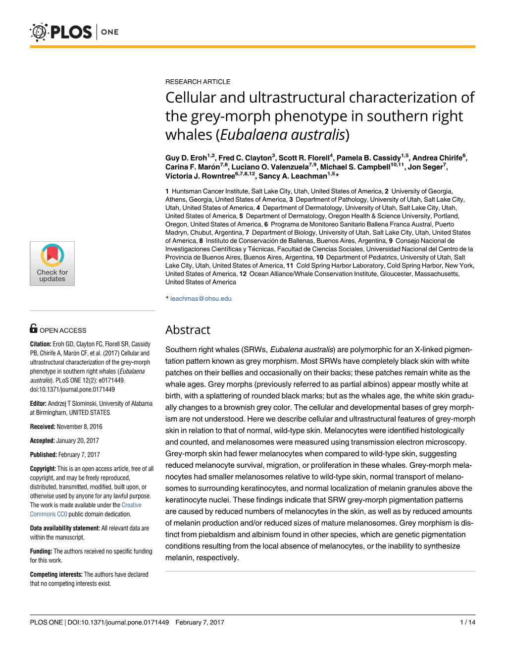 Cellular and Ultrastructural Characterization of the Grey-Morph Phenotype in Southern Right Whales (Eubalaena Australis)