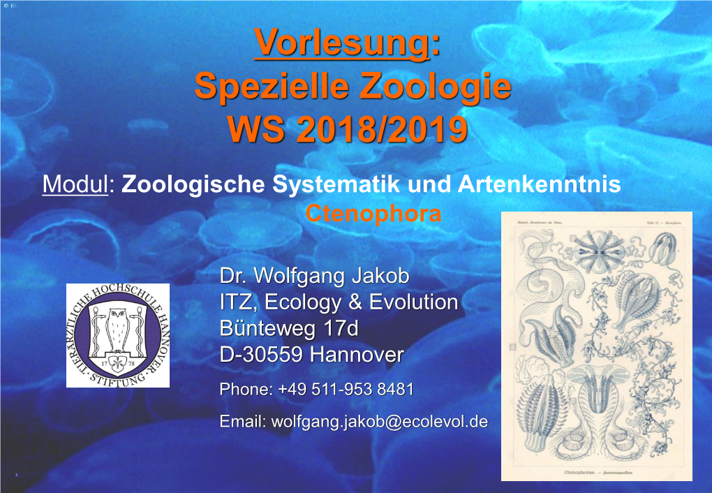 Vorlesung: Spezielle Zoologie WS 2018/2019 Modul : Zoologische Systematik Und Artenkenntnis
