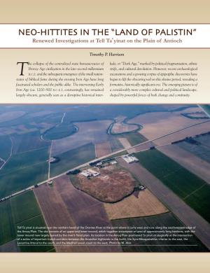 NEO-HITTITES in the “LAND of PALISTIN” Renewed Investigations at Tell Taʿyinat on the Plain of Antioch