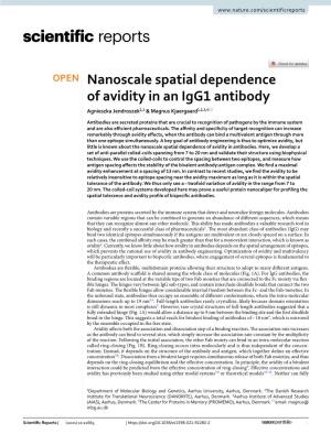 Nanoscale Spatial Dependence of Avidity in an Igg1 Antibody Agnieszka Jendroszek1,2 & Magnus Kjaergaard1,2,3,4*