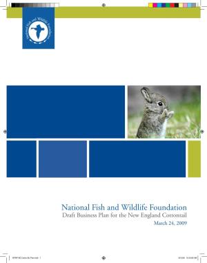National Fish and Wildlife Foundation Draft Business Plan for the New England Cottontail March 24, 2009