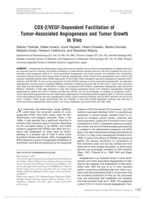 COX-2/VEGF-Dependent Facilitation of Tumor-Associated Angiogenesis