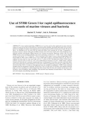 Use of SYBR Green I for Rapid Epifluorescence Counts of Marine Viruses and Bacteria