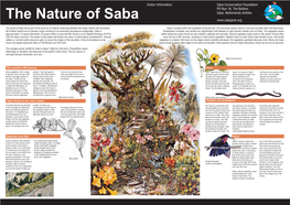 Saba's Nature Trails