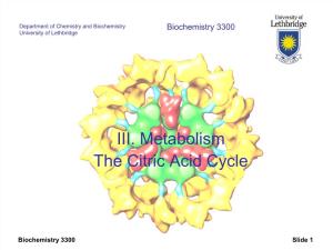 III. Metabolism the Citric Acid Cycle