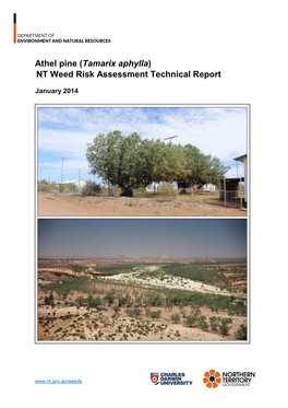 Athel Pine (Tamarix Aphylla) NT Weed Risk Assessment Technical Report