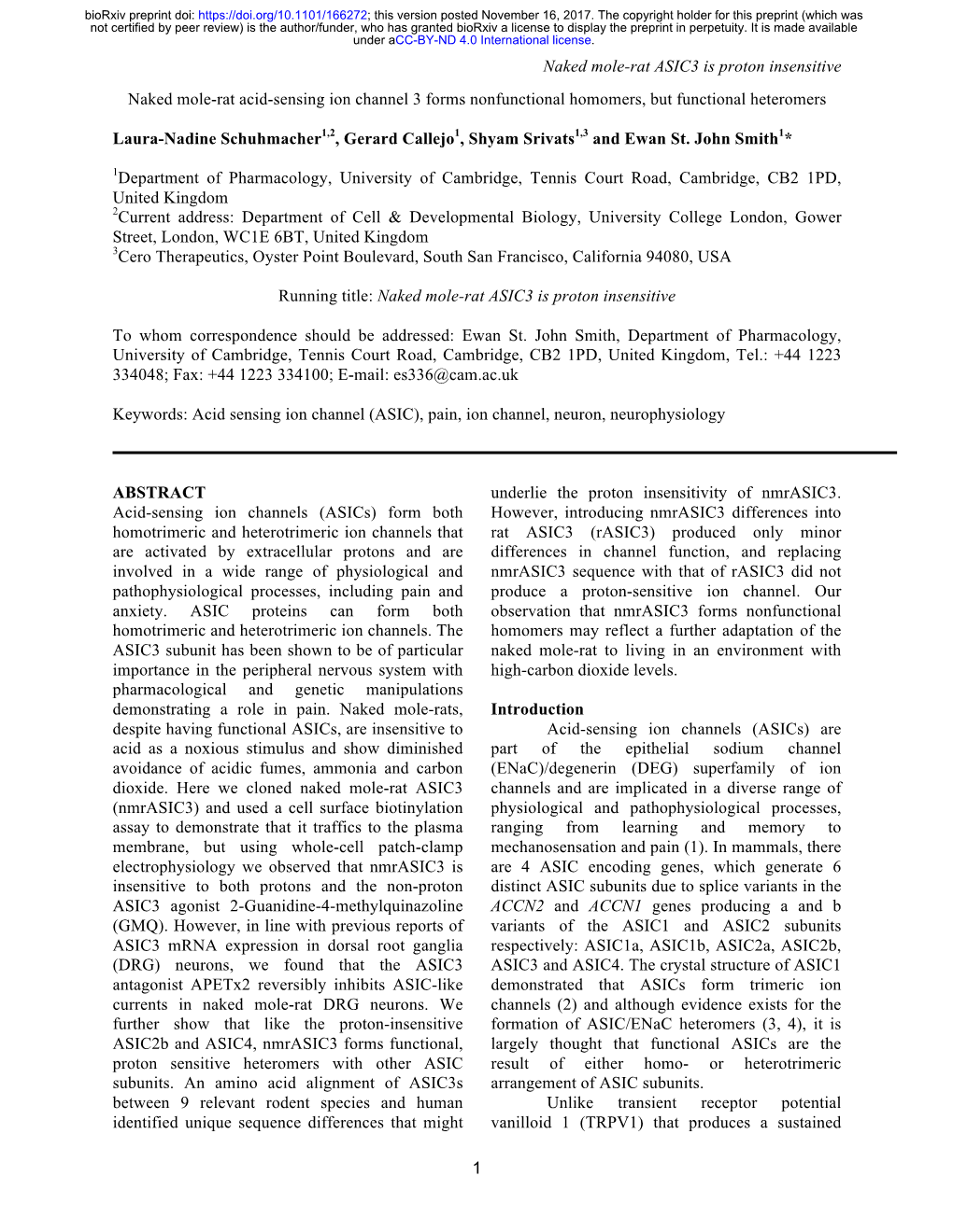 Naked Mole-Rat Acid-Sensing Ion Channel 3 Forms Nonfunctional Homomers, but Functional Heteromers