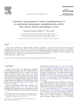 Expression and Regulation of Matrix Metalloproteinase-12 in Experimental Autoimmune Encephalomyelitis and by Bone Marrow Derived