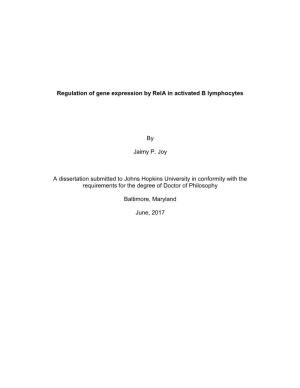 Regulation of Gene Expression by Rela in Activated B Lymphocytes By