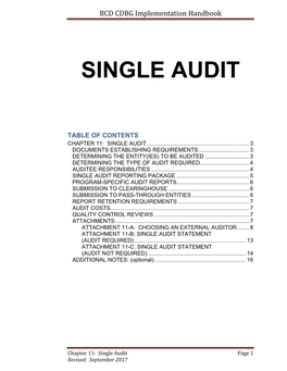 Single Audit