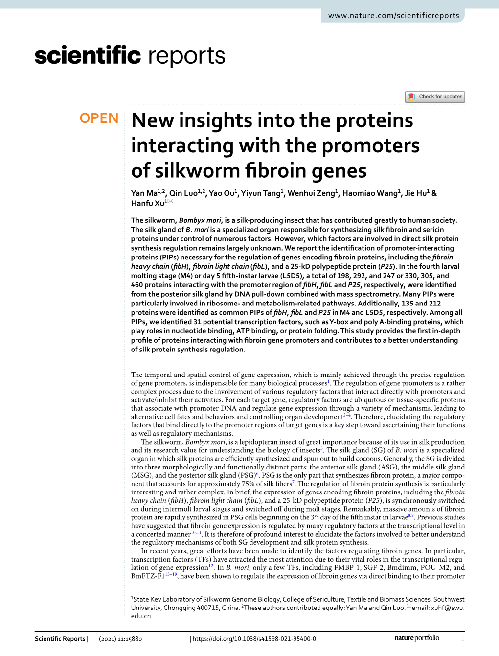 New Insights Into the Proteins Interacting with the Promoters Of